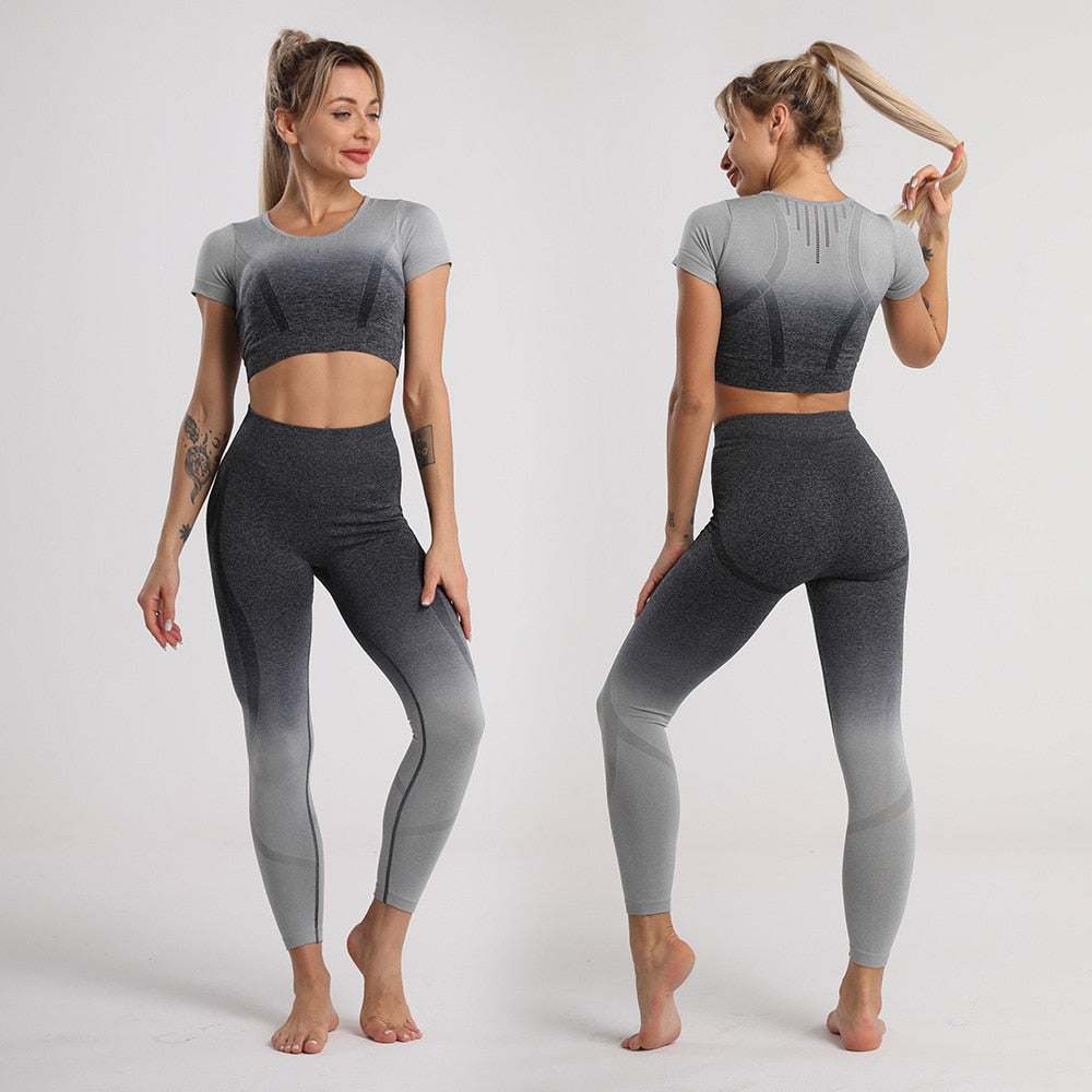 Two-piece Seamless Women's Yoga Suit