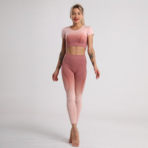 Two-piece Seamless Women's Yoga Suit