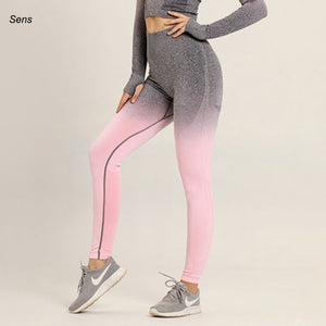 Winter Hot Sale Yoga Set Gym Set Gym Leggings Yoga Sport Leggings Sportswear For Women Sports Clothing Gym Fitness Clothing
